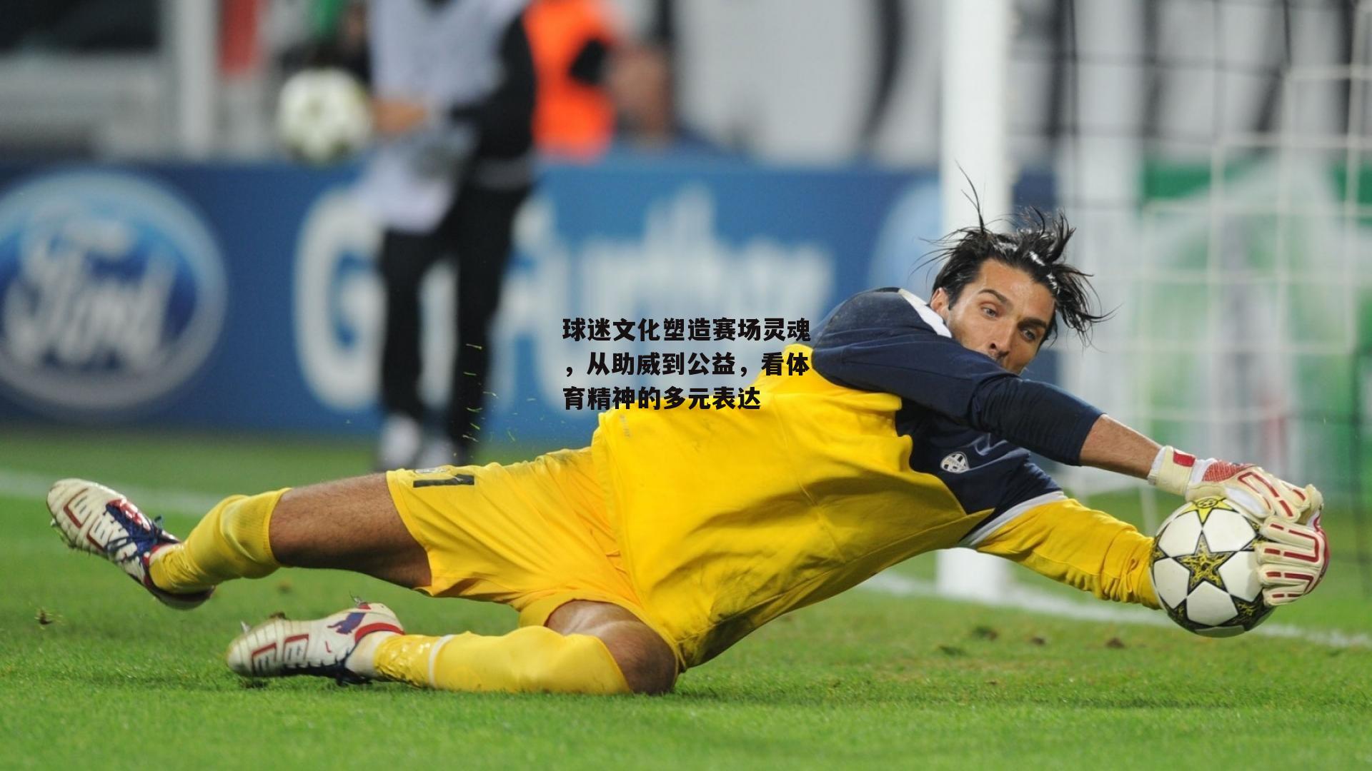 球迷文化塑造赛场灵魂，从助威到公益，看体育精神的多元表达